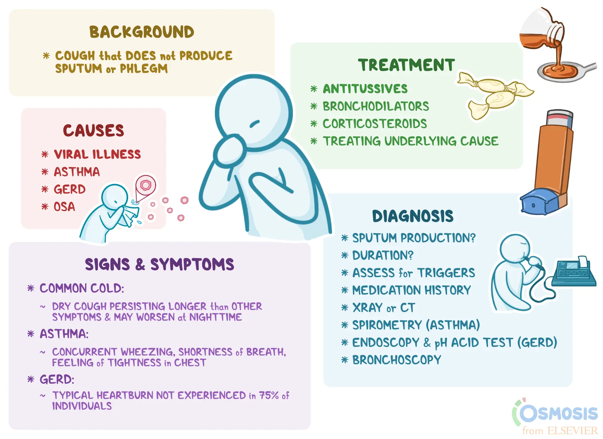 Cough &#8211; wet and dry, treatment