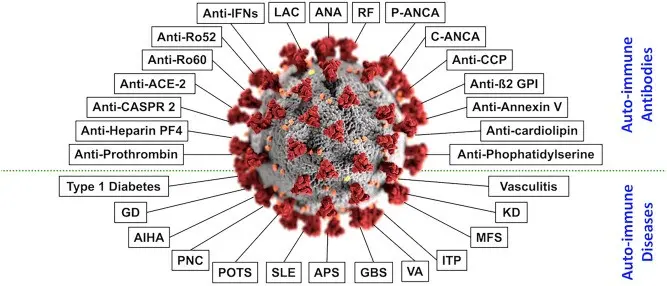 COVID-19 a type of autoimmune disease? Disturbing findings