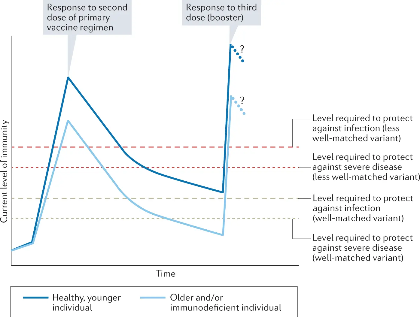 COVID-19 in Vaccinated People. These factors increase the risk of a breakthrough infection