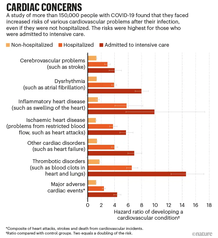 COVID-19 increases the risk of heart attacks and other serious diseases. Shocking data from scientists