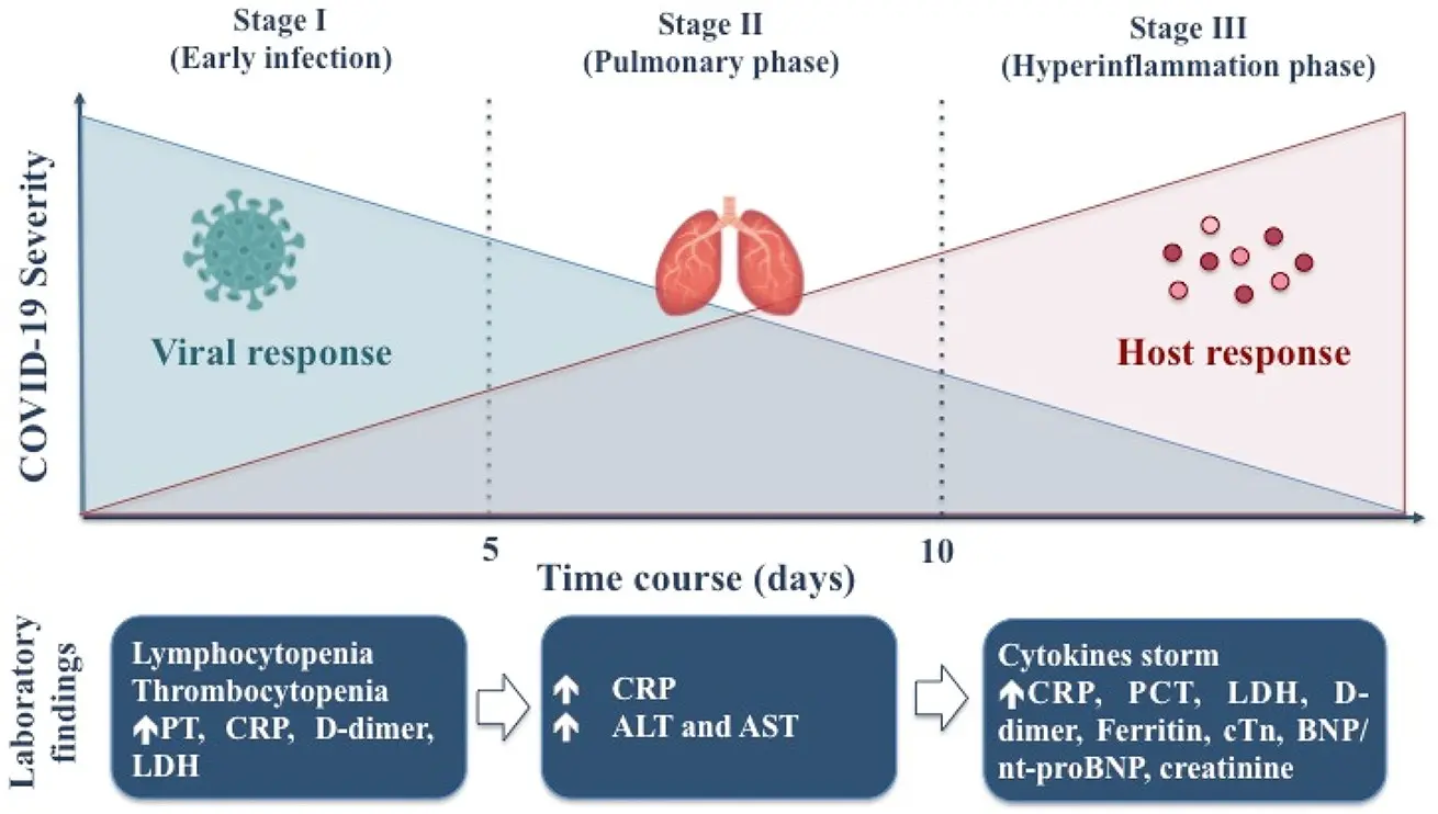 COVID-19 infection promotes potassium loss