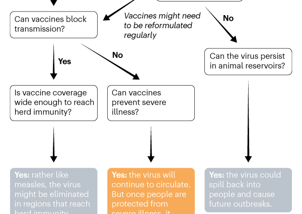 COVID-19 is likely to become an endemic disease &#8211; what does that mean? [WE EXPLAIN]