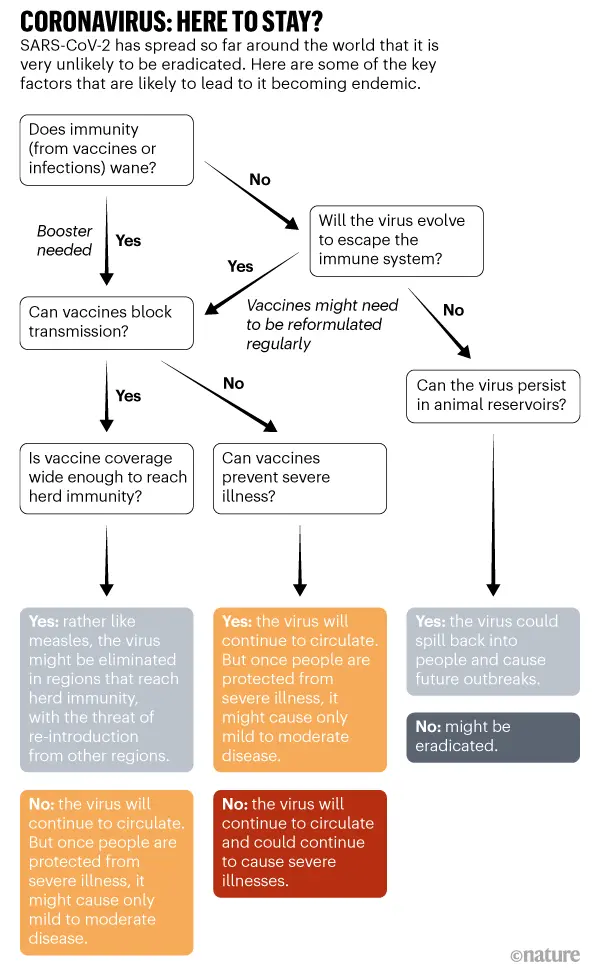 COVID-19 is likely to become an endemic disease &#8211; what does that mean? [WE EXPLAIN]