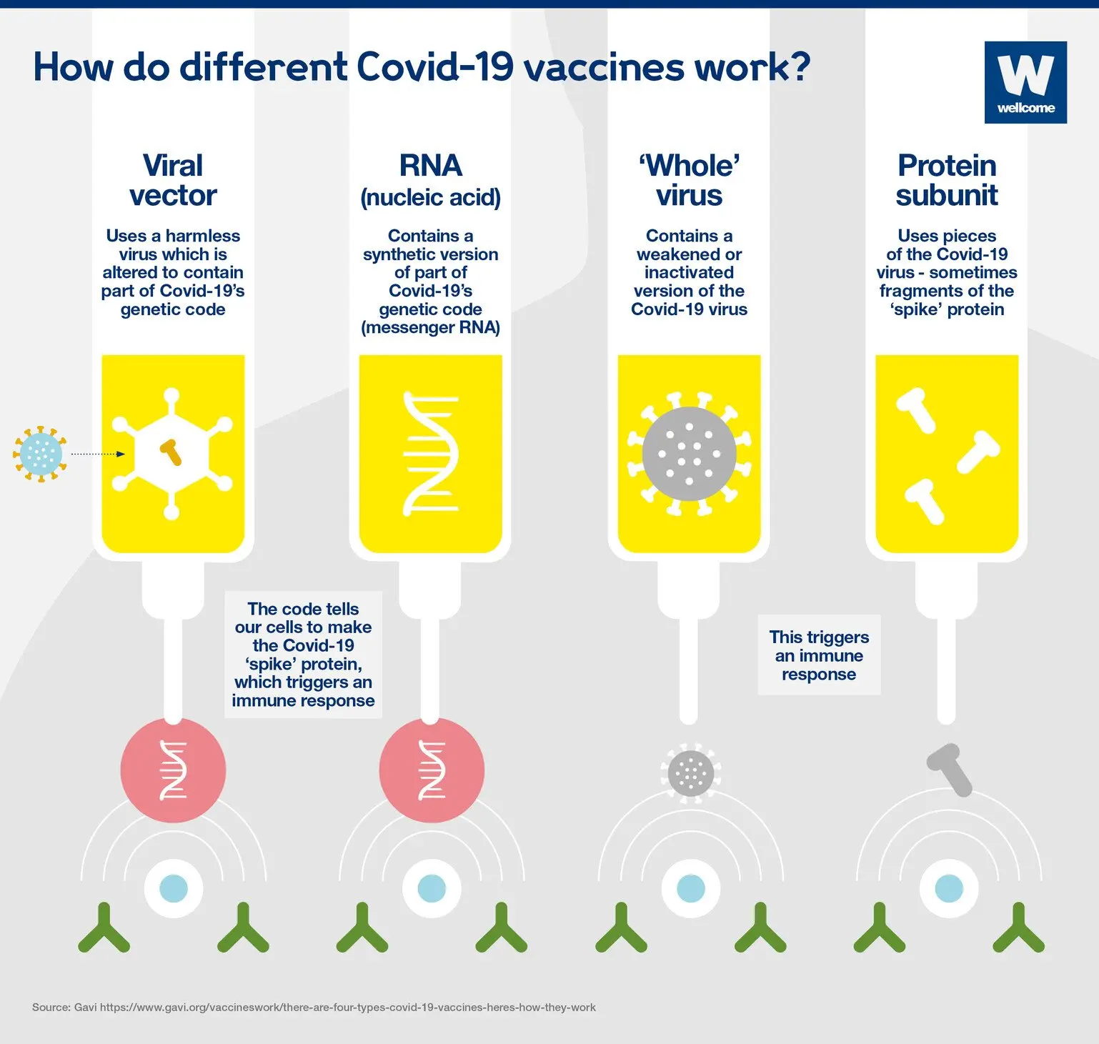 COVID-19 Vaccines. What do we know about them and how do they differ?