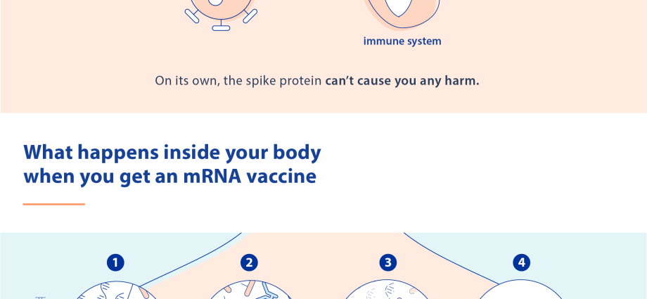 COVID-19: why does the vaccinated person get sick? [WE EXPLAIN]