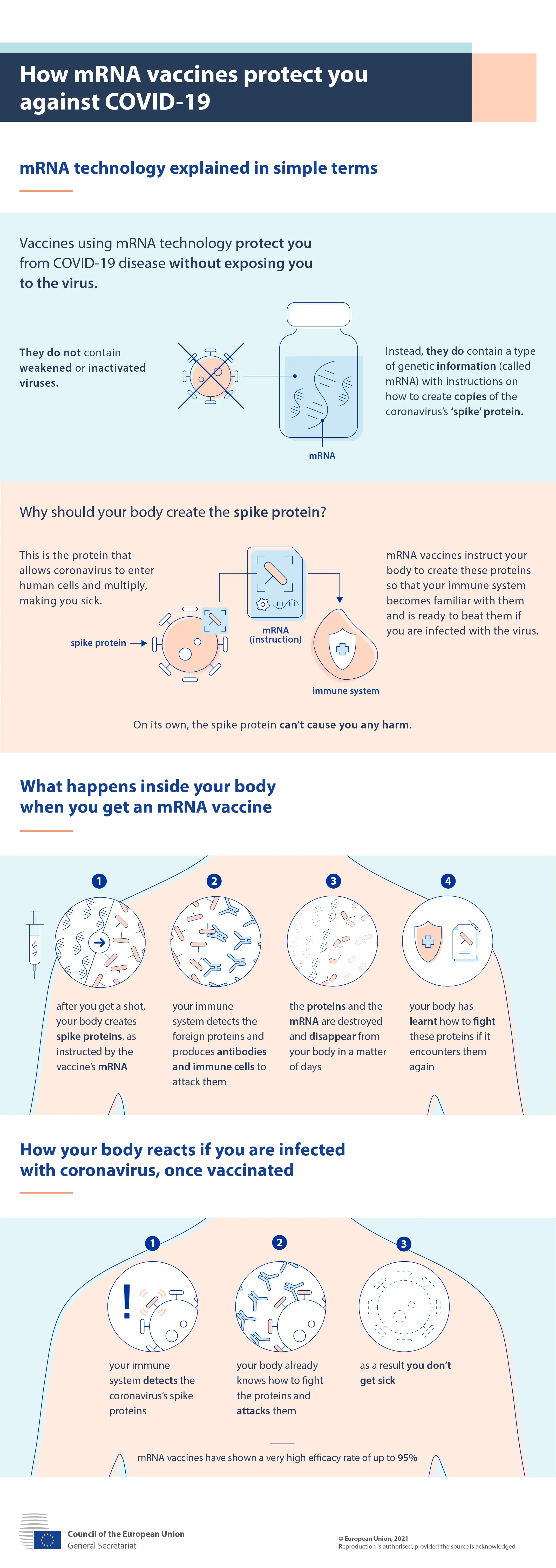 COVID-19: why does the vaccinated person get sick? [WE EXPLAIN]