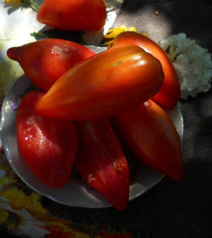 Cows ears tomatoes: variety description, photos, reviews