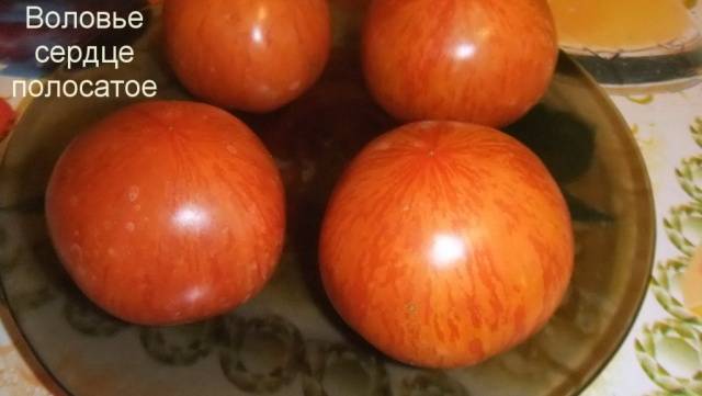 Cow&#8217;s Heart Tomato: reviews, photos, yield