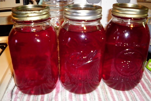 Cowberry compote for the winter