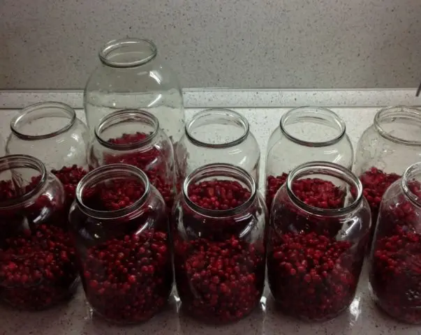 Cowberry compote for the winter