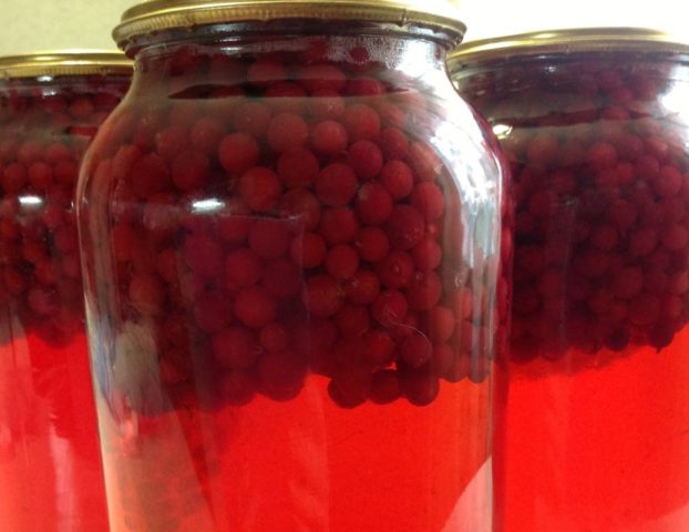 Cowberry compote for the winter