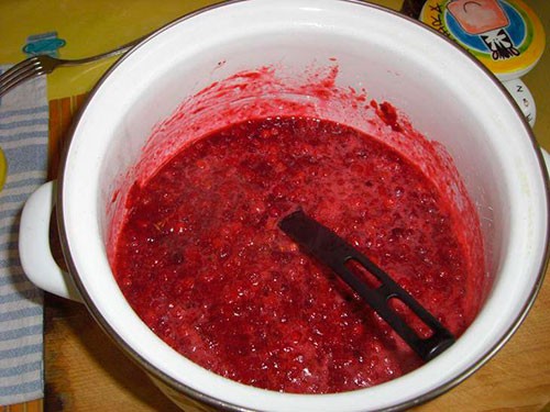 Cowberry jam for the winter: 28 simple recipes