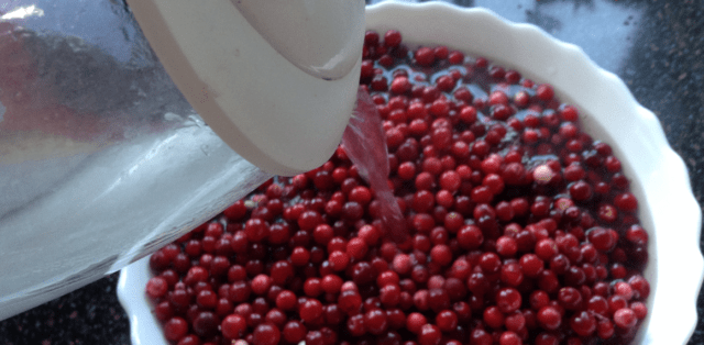 Cowberry jam for the winter: 28 simple recipes