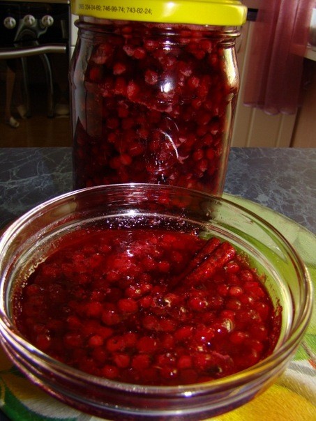 Cowberry jam for the winter: 28 simple recipes