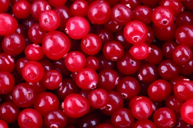 Cranberries at temperature