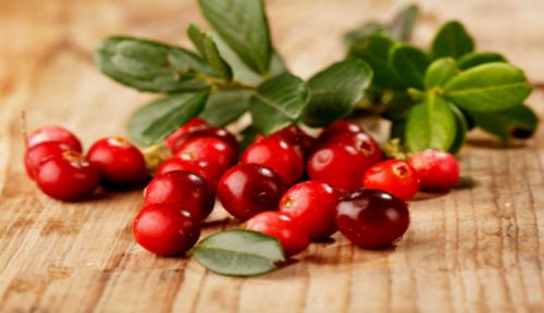 cranberries for type 2 diabetes