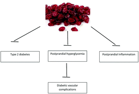 cranberries for type 2 diabetes