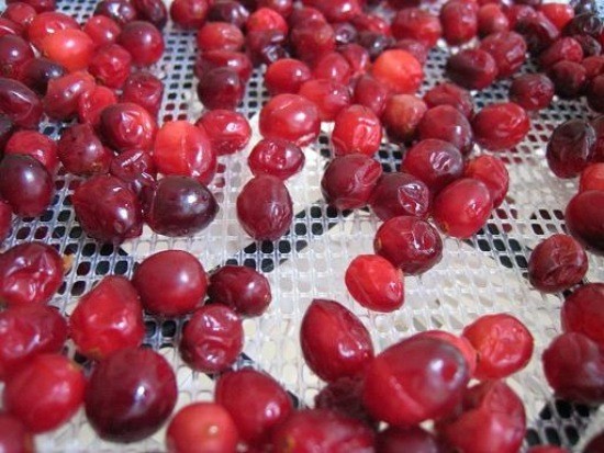 Cranberries mashed with sugar for the winter