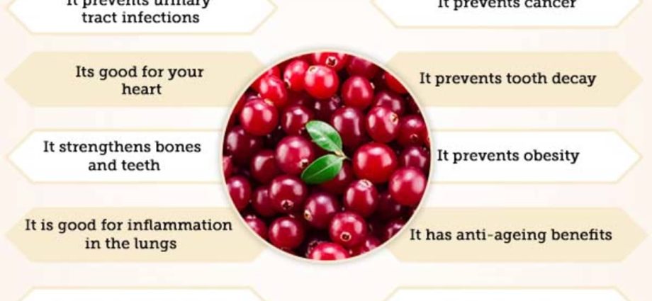 Cranberry for diseases of the urinary system. Who can eat cranberry fruit?