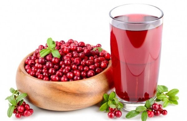 Cranberry from pressure: increases or decreases, how to take