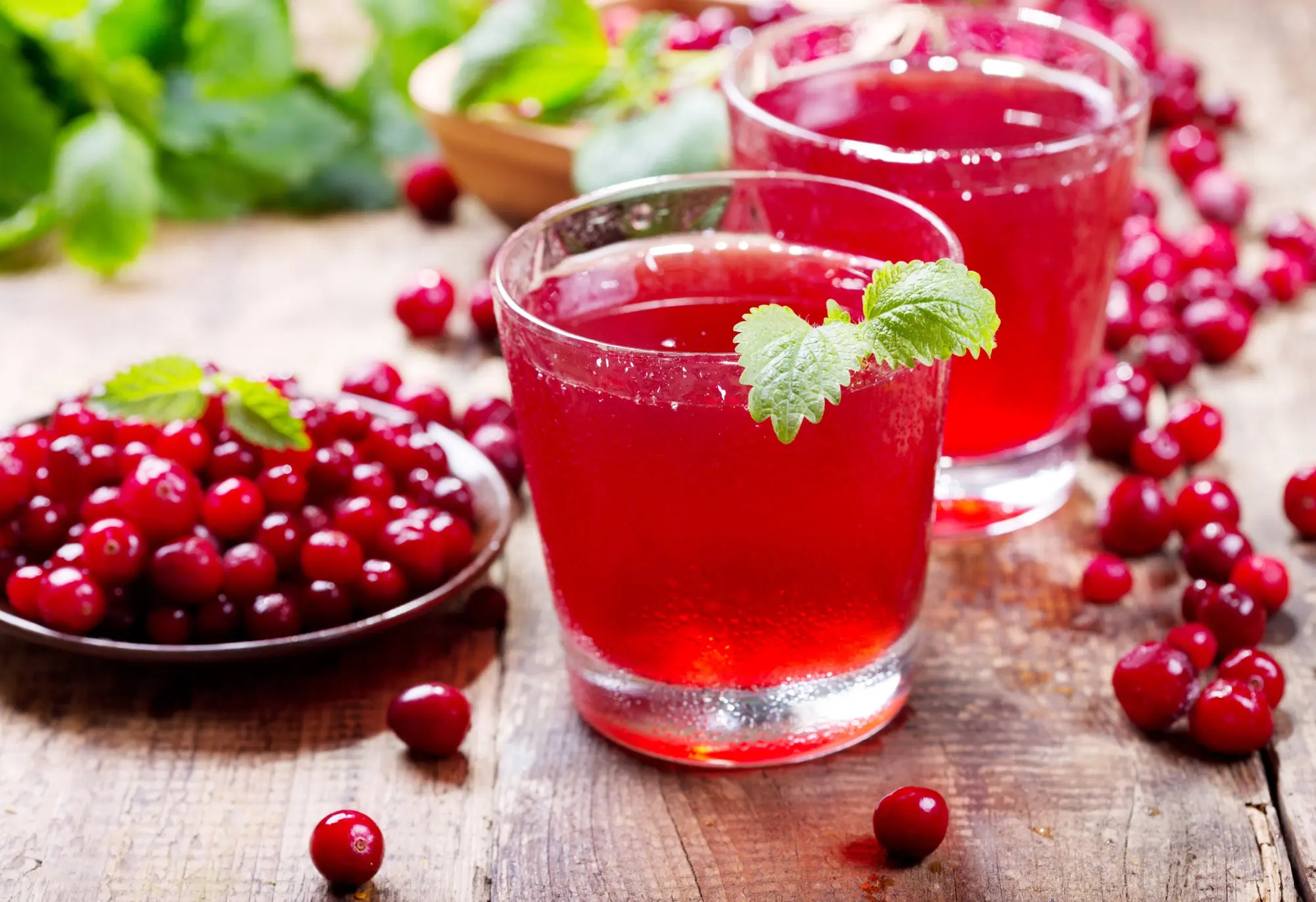 Cranberry from pressure: increases or decreases, how to take