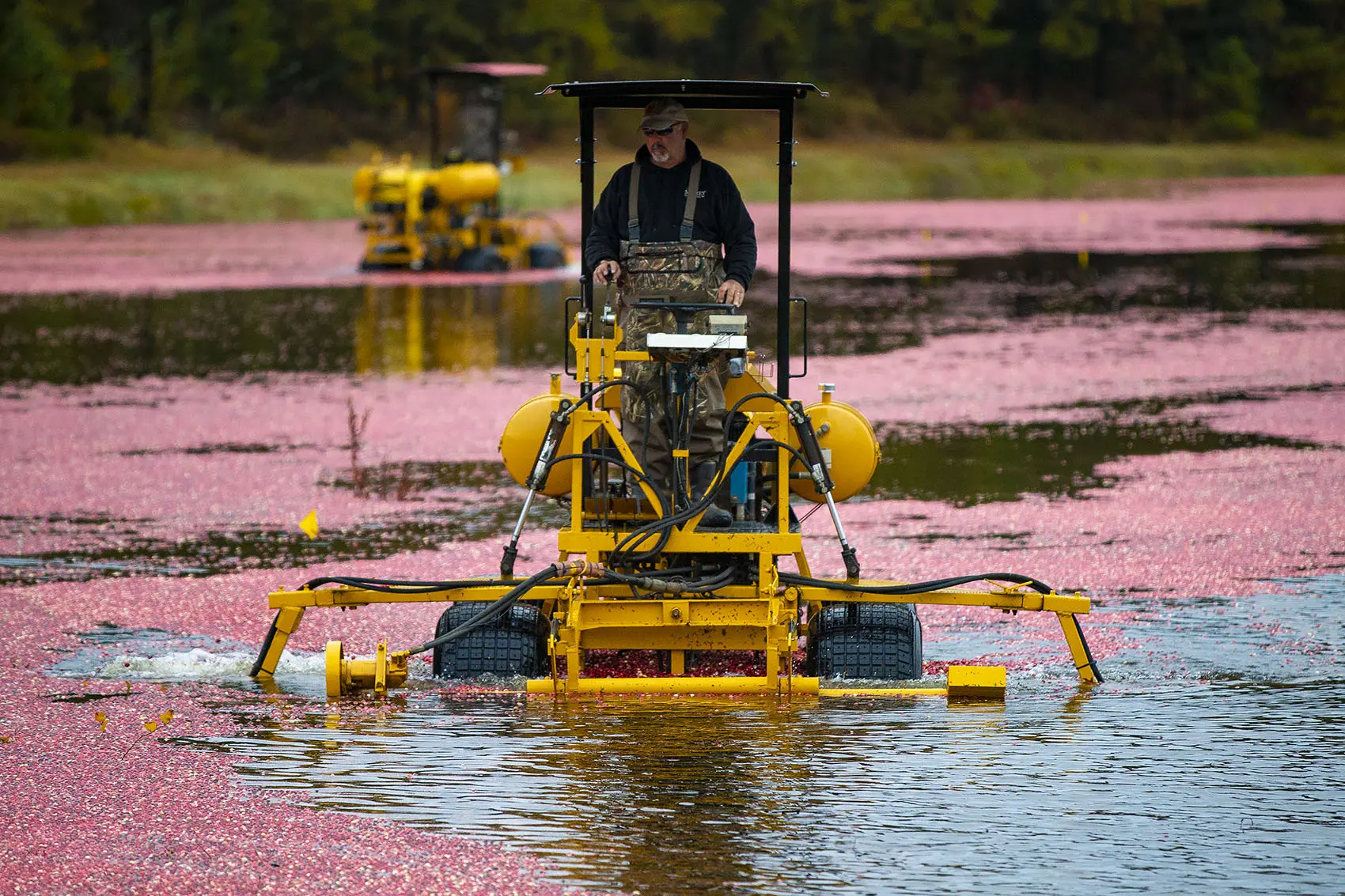 Cranberry harvester