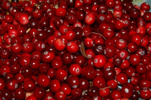 Cranberry jam - recipes for the winter