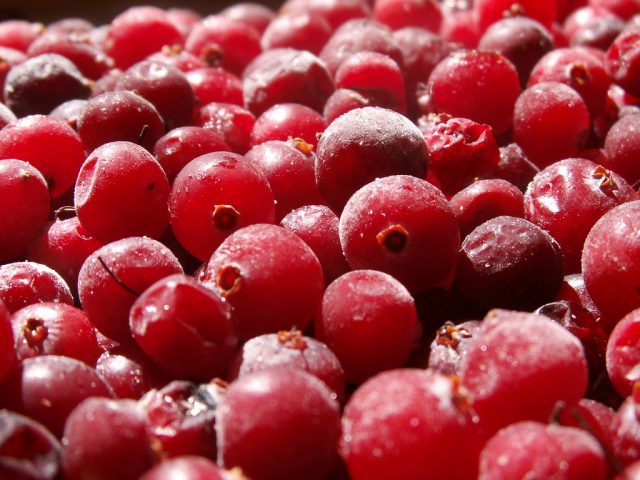 Cranberry jelly - a winter recipe