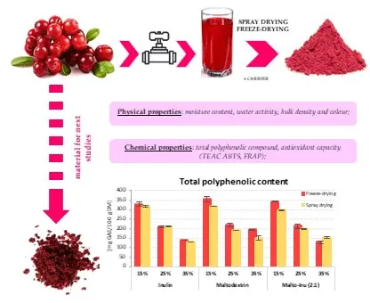 Cranberry juice &#8211; properties, composition, application