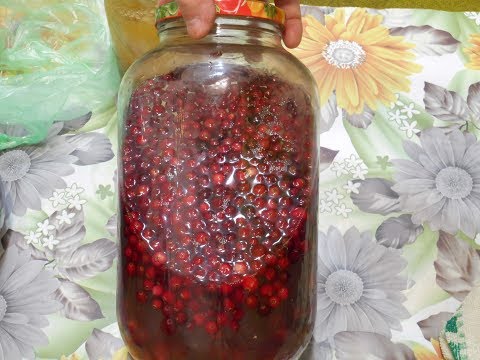 Cranberry liqueur