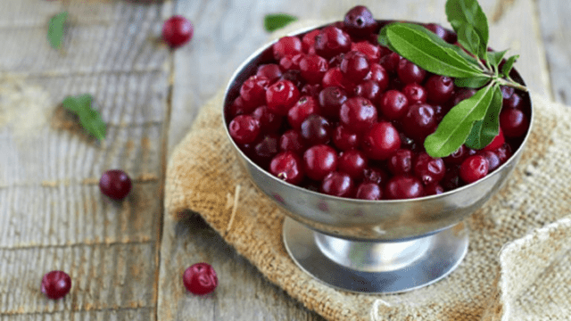 Cranberry liqueur: recipes for cooking at home