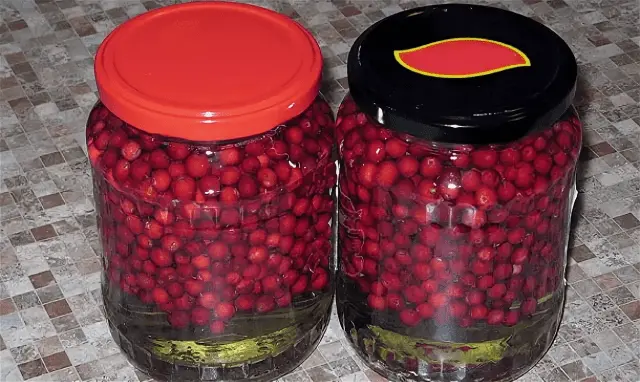 Cranberry storage