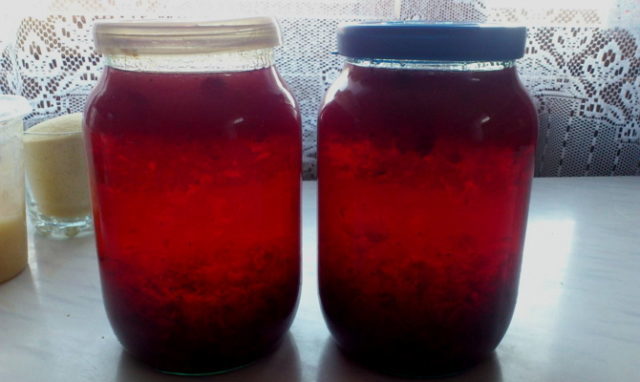 Cranberry tincture on moonshine