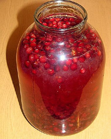 Cranberry tincture on moonshine