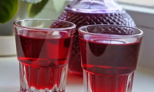 Cranberry tincture on vodka