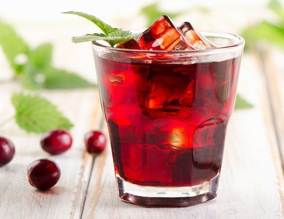 Cranberry tincture on vodka