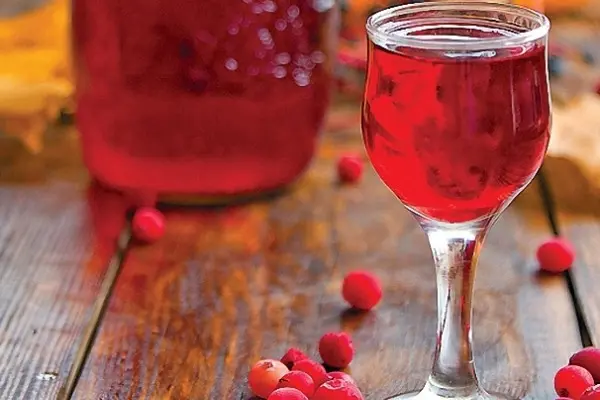 Cranberry tincture: step by step recipes + benefits, medicinal properties, contraindications and rules for drinking