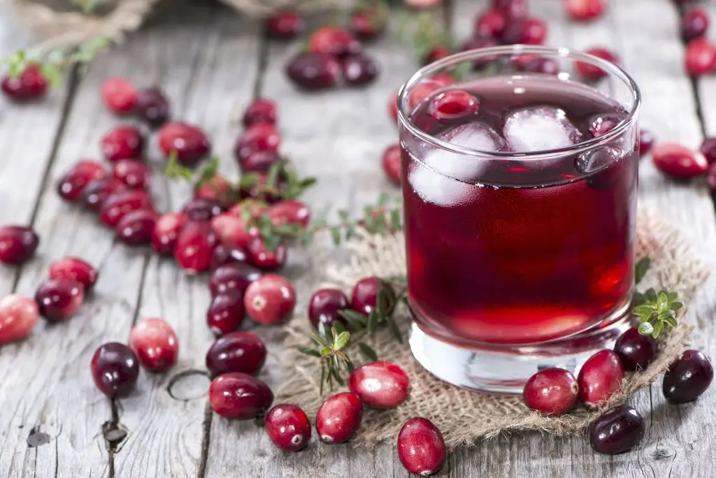 Cranberry tincture: step by step recipes + benefits, medicinal properties, contraindications and rules for drinking