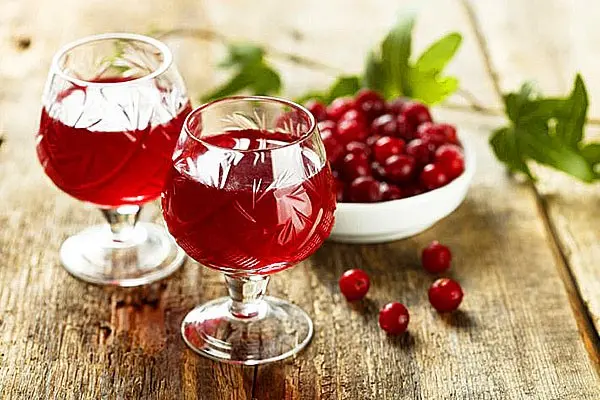 Cranberry tincture: step by step recipes + benefits, medicinal properties, contraindications and rules for drinking