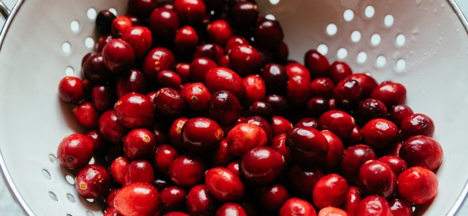 Cranberry &#8211; Treatment of bladder infections and other medical uses