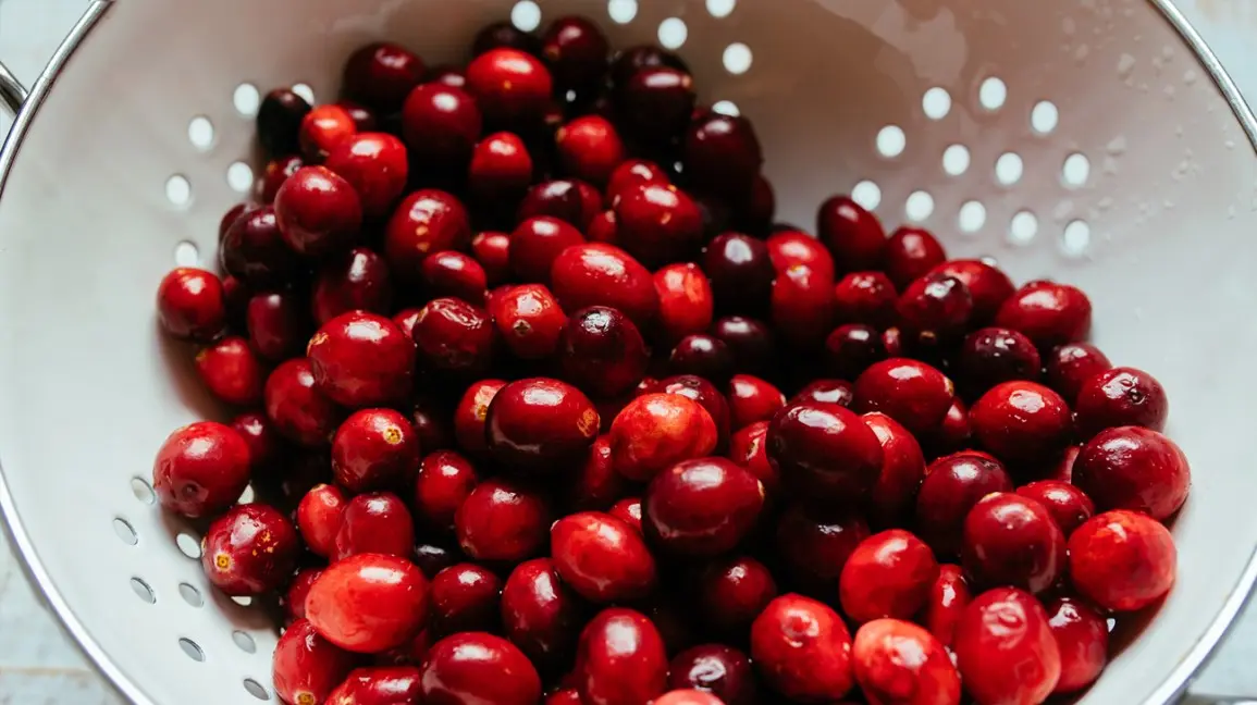 Cranberry &#8211; Treatment of bladder infections and other medical uses