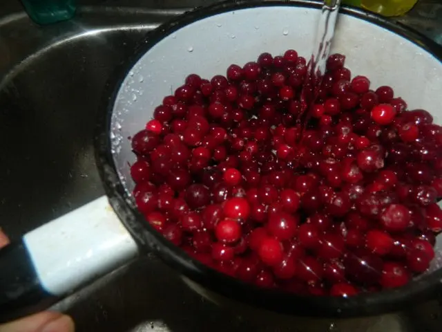 Cranberry wine - cooking recipes