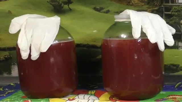 Cranberry wine - cooking recipes