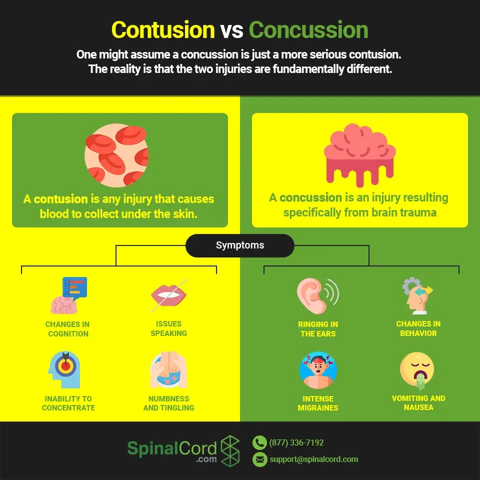 Craniocerebral injuries &#8211; concussion and contusion of the brain