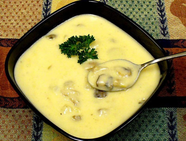 Cream soup of porcini mushrooms: how to cook, recipes