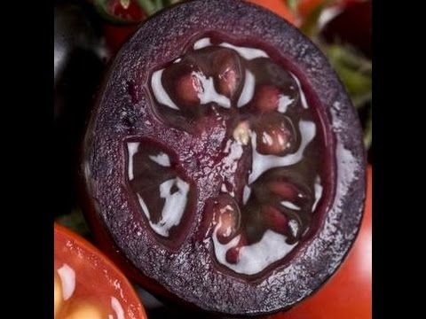 Crimean black tomato: reviews, characteristics