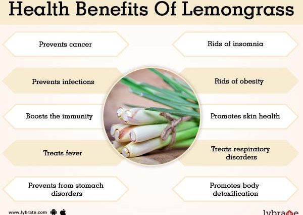 Crimean lemongrass: useful properties and contraindications