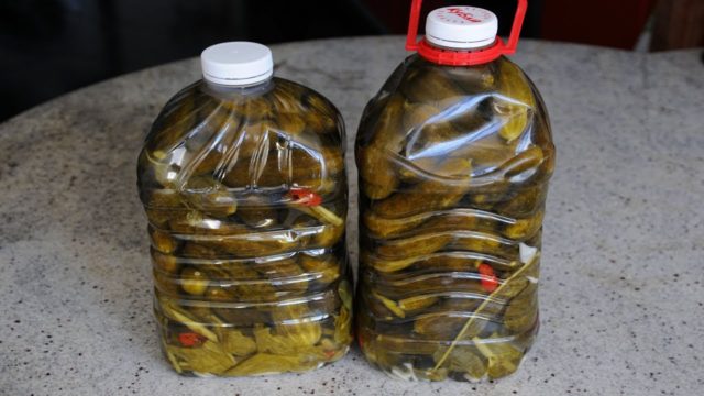 Crispy cucumbers with vodka for the winter: pickling and canning recipes in 3-liter jars