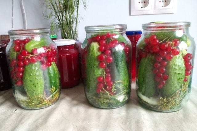 Crispy cucumbers with vodka for the winter: pickling and canning recipes in 3-liter jars