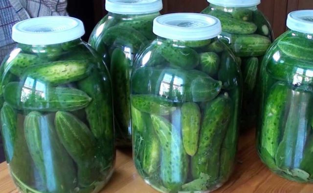 Crispy cucumbers with vodka for the winter: pickling and canning recipes in 3-liter jars